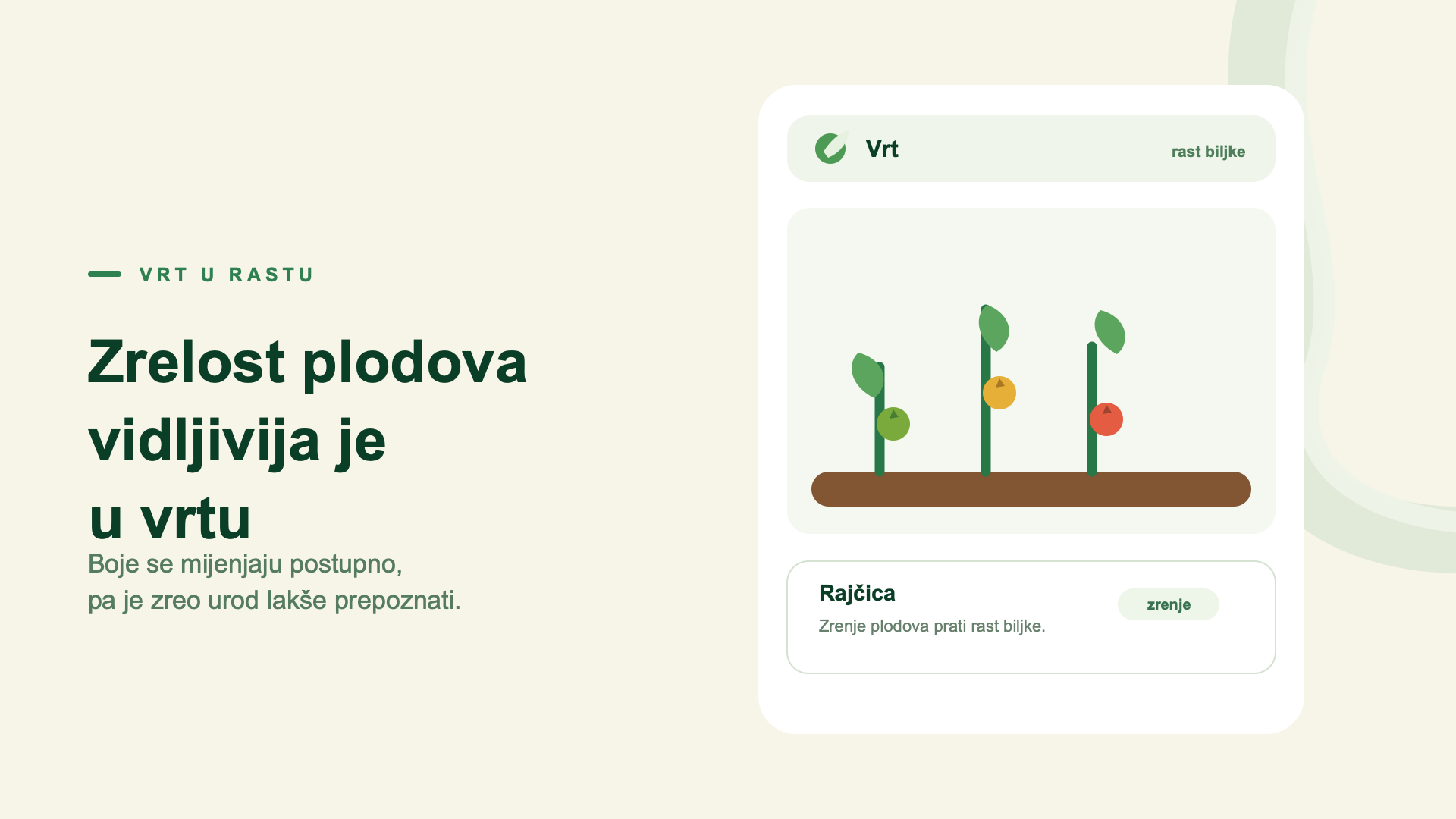 Zrelost plodova vidljivija je u vrtu