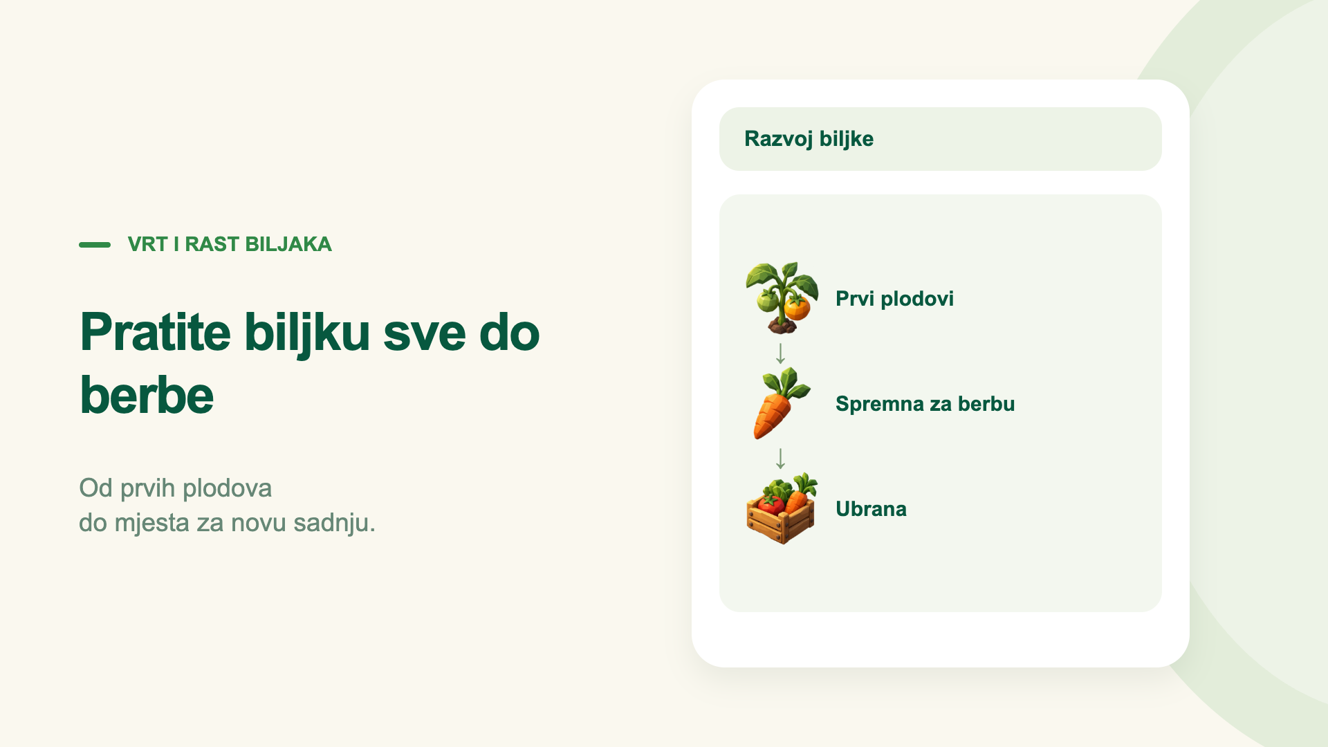 Pratite biljku sve do berbe